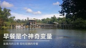 口袋森林世界杯传球大赛