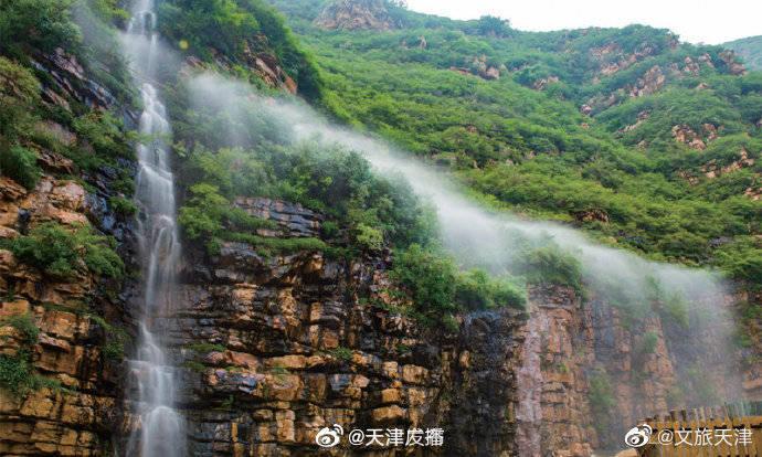 大花园植物逃生